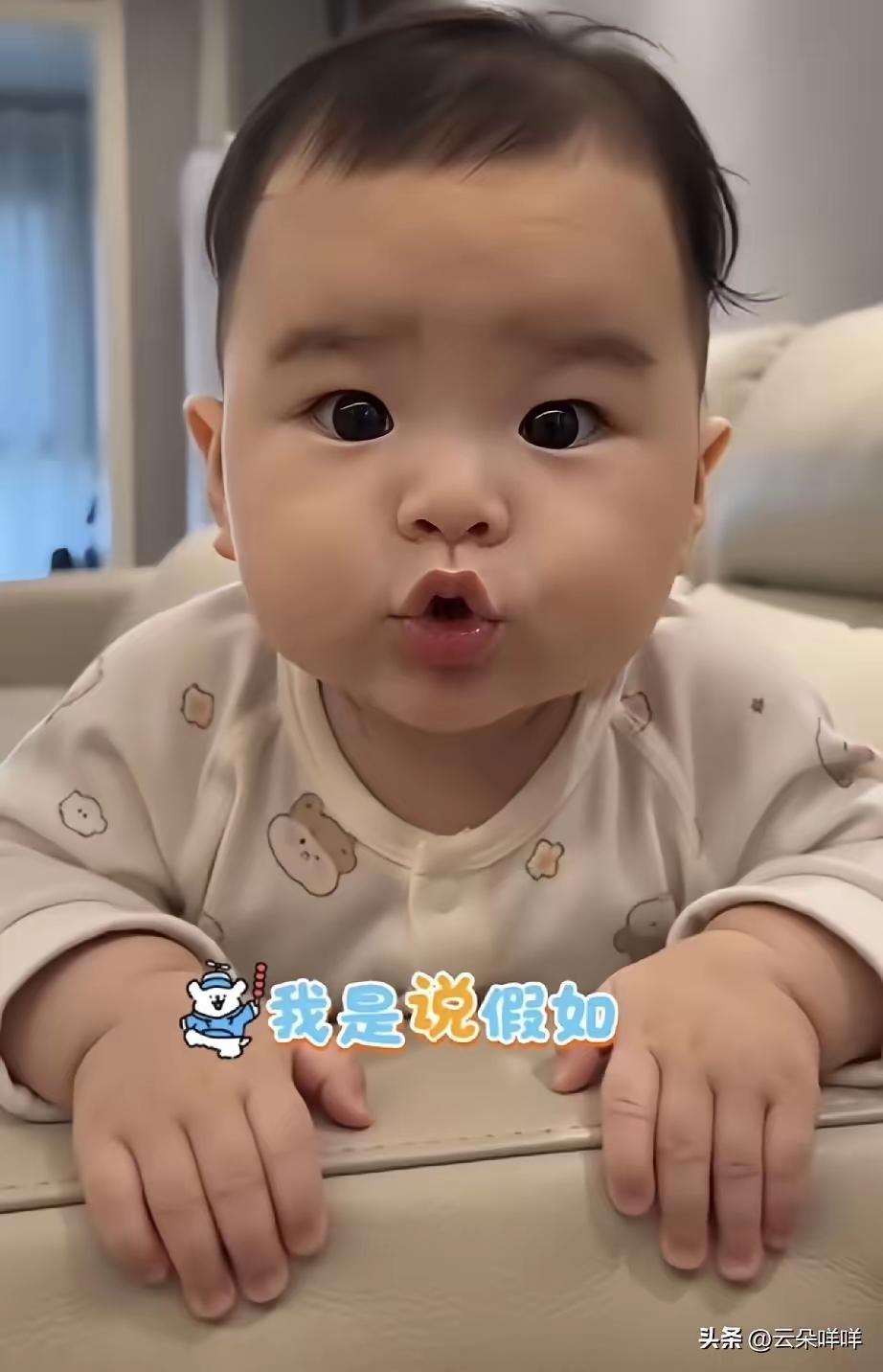 全网刷屏！小汪宝圈粉无数，
 
谁也没料到，汪家新成员小汪宝，在网络上收获超高人