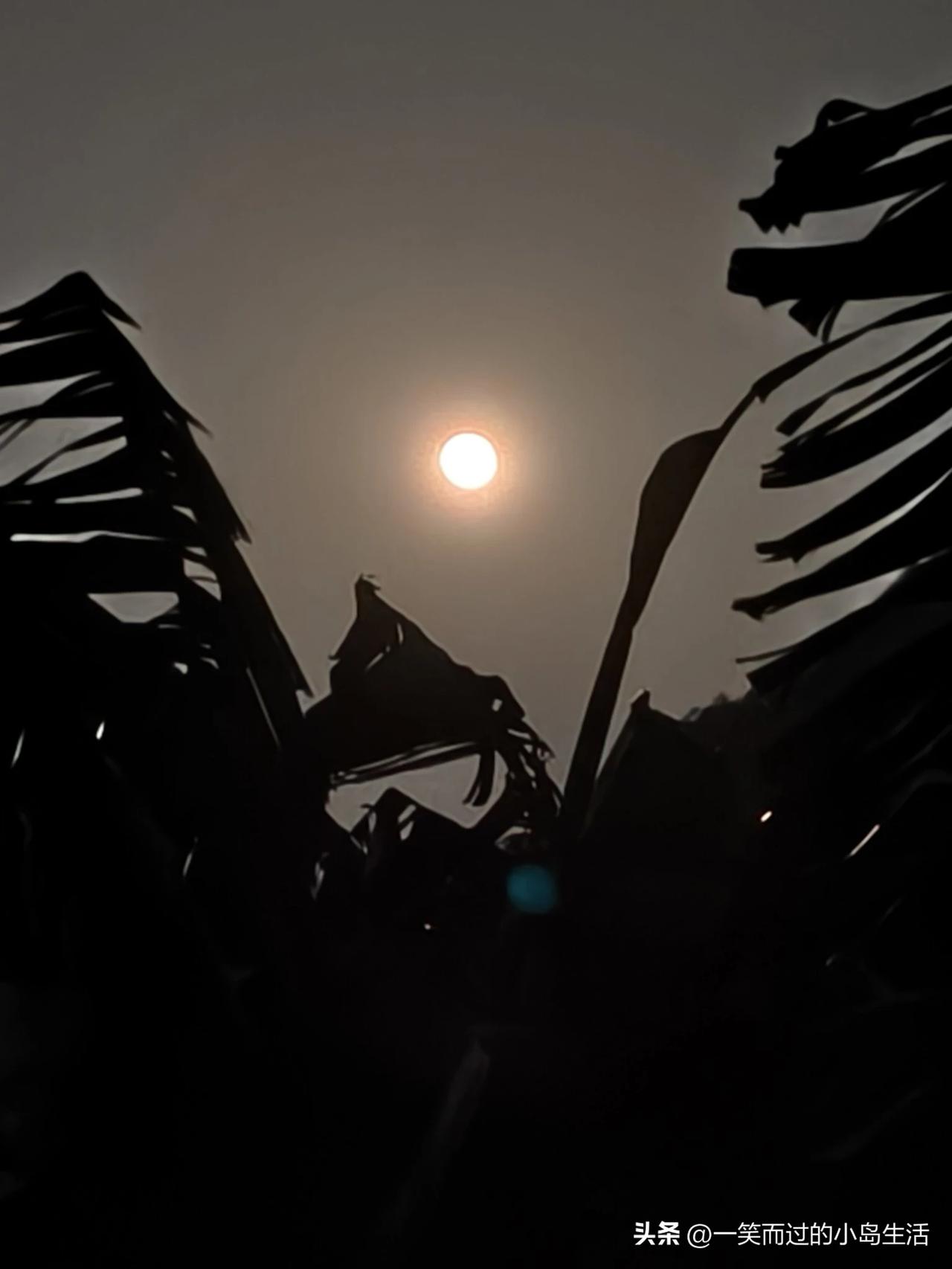 巴马十六月：山静星稀，一轮圆满
 
都说十五的月亮十六圆，昨夜恰逢正月十六，我在