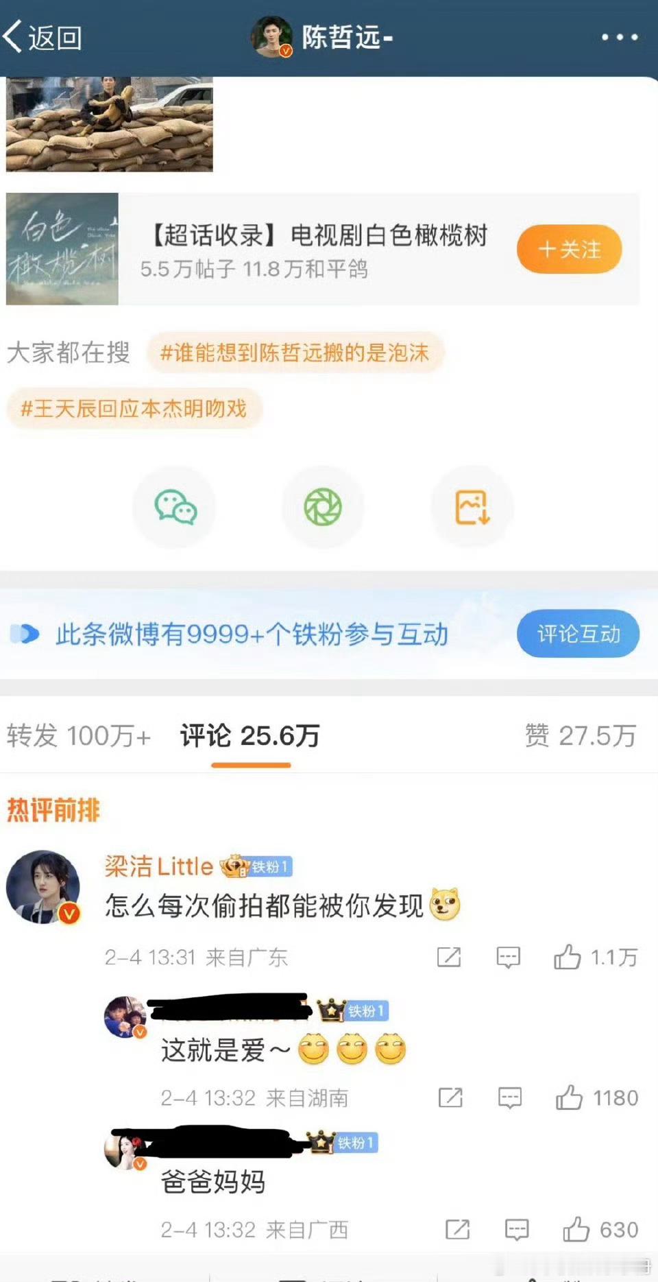 大事不妙！白色橄榄树开播剧宣期，陈哲远没有回复女主梁洁被审判不够体面，你怎么看？