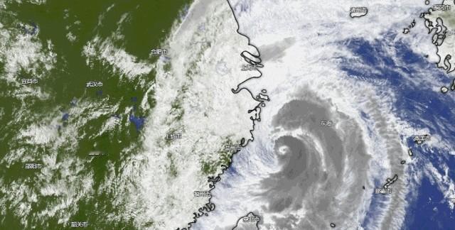 台风白海豚给上海下马威。
等到9日下午，雨势才稍稍缓了口气，暴雨红色预警在13时