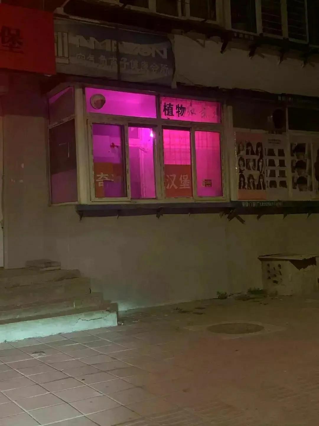 饿了，买个汉堡去[泪奔]