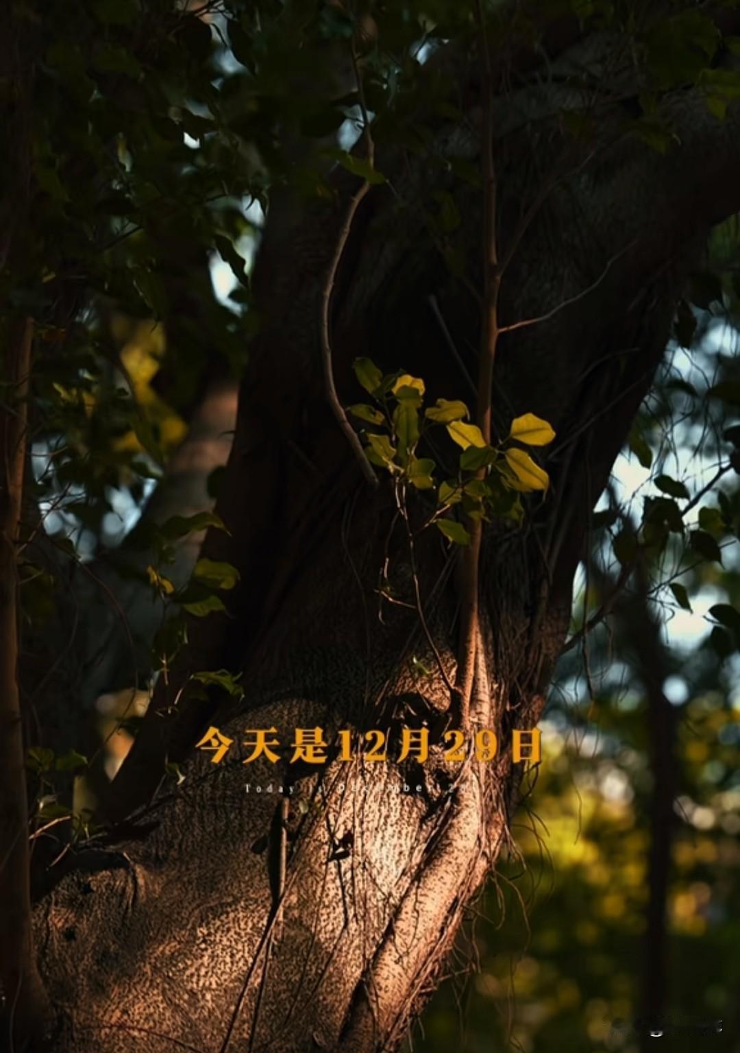 川普：我没有错，还不都是你们的错！

门，是尼克松打开的；
关联，是卡特定下来的