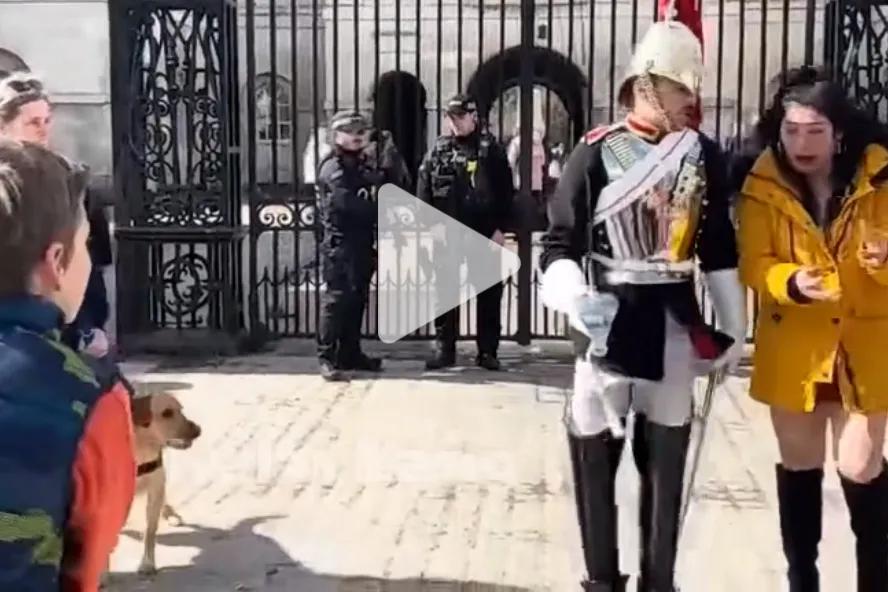 女游客贴近英国皇家近卫队的卫兵合影，被大声喝斥吓得魂飞魄散…引发网友热议！

有