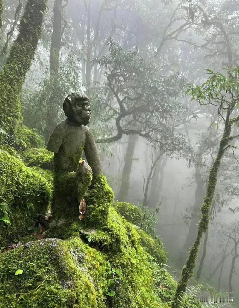 哀牢山，一个明知是禁区的地方，为什么成为了这个国庆火爆出圈的地方？一个连专业地质