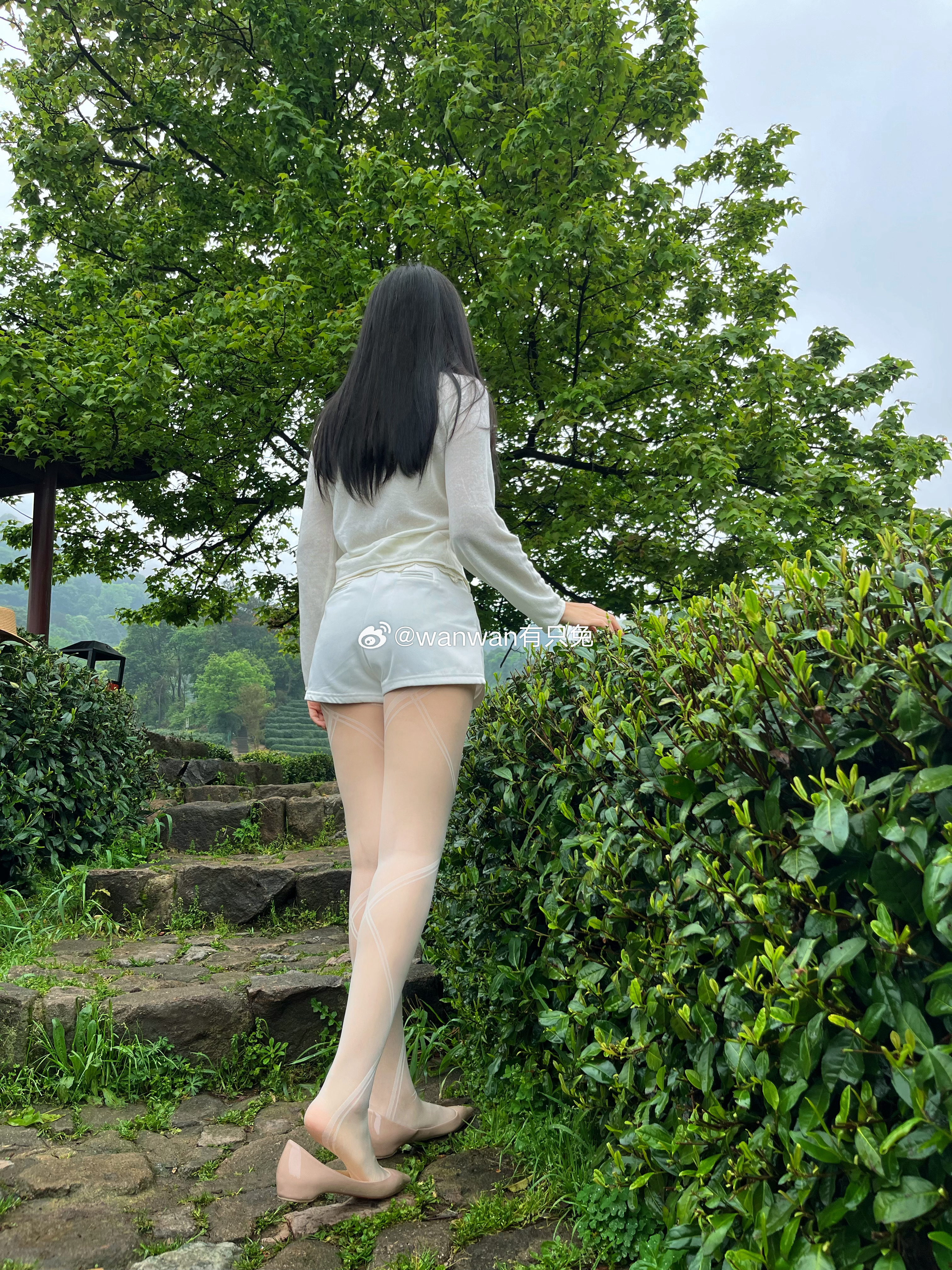 雨后的西湖龙井，淡淡的茶清香今天穿什么ootd我的日常plog