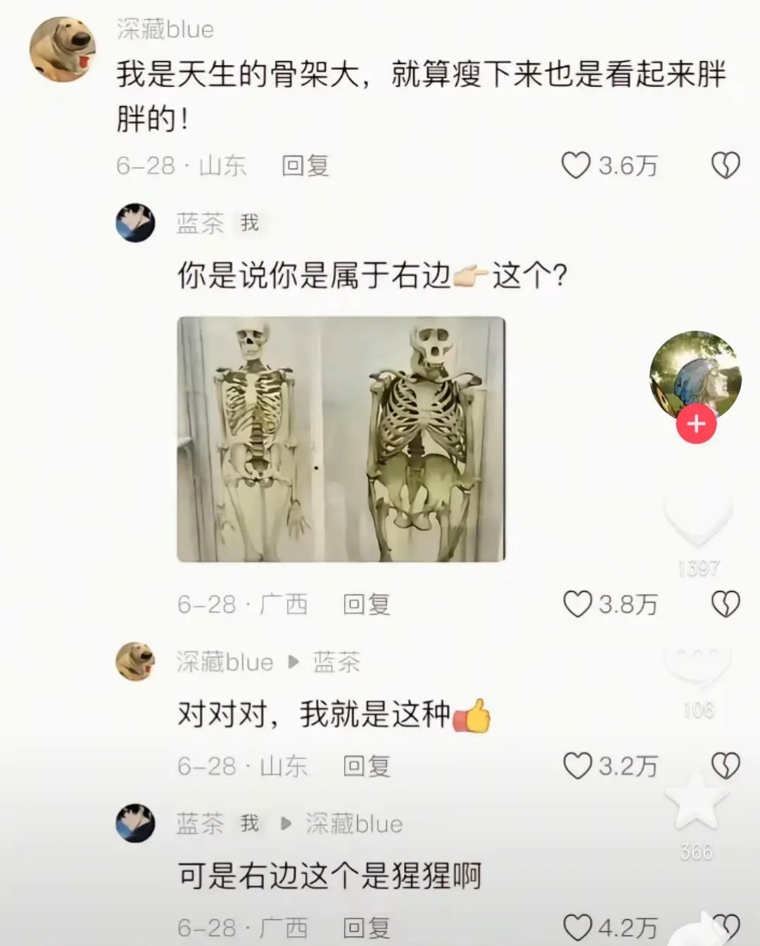 我天生骨架大，哈哈哈哈哈哈哈哈 ​​​