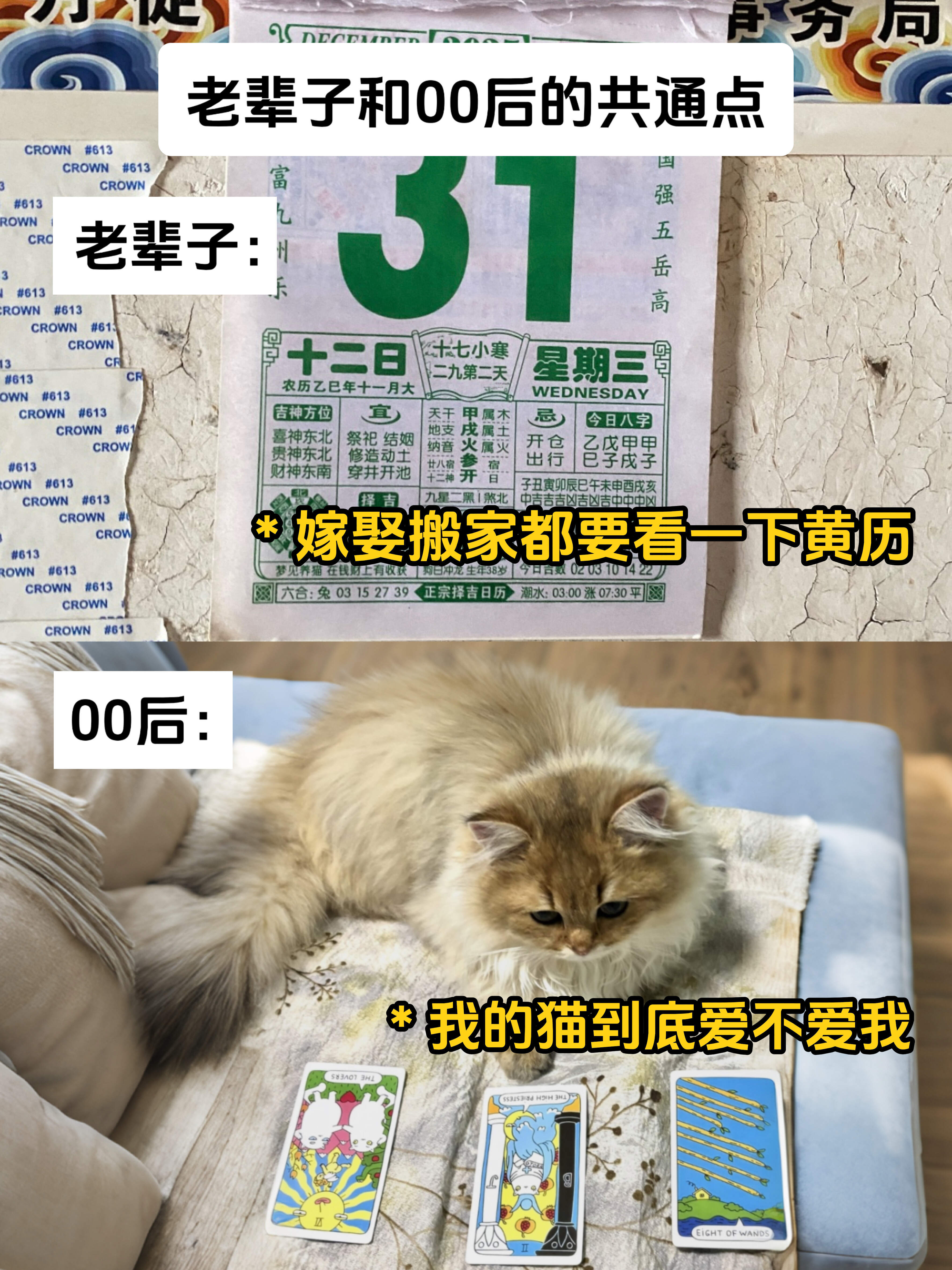 都是老辈子传下来的习惯 一代人有一代人的僵尸肉要囤 ... 