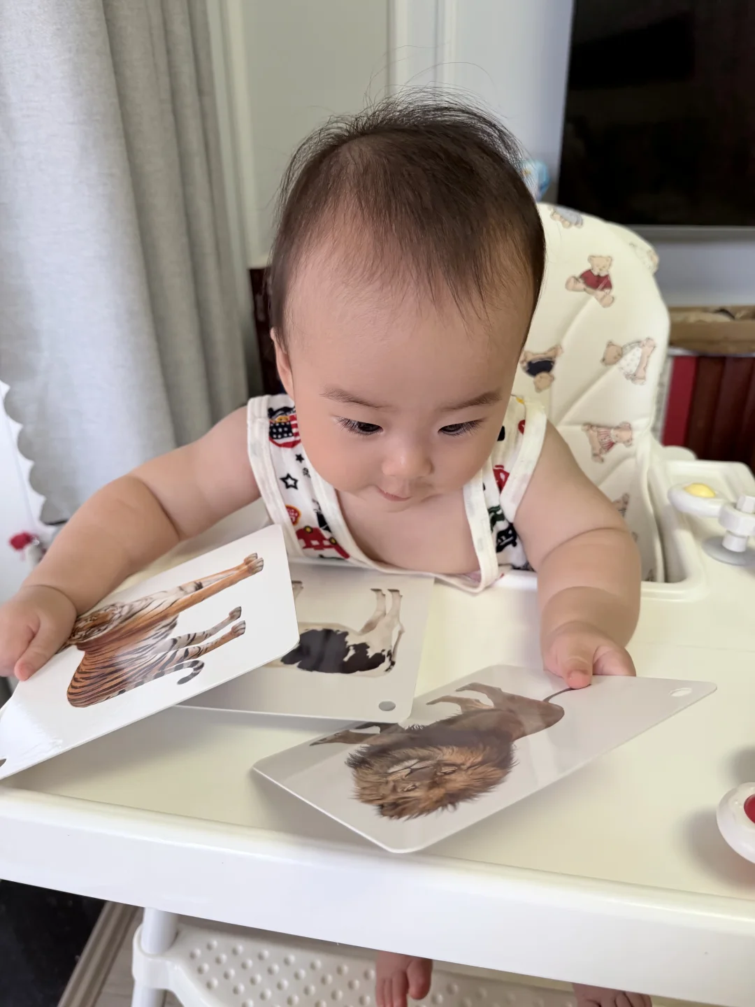 陪着她一点点认识世间万物 好奇妙