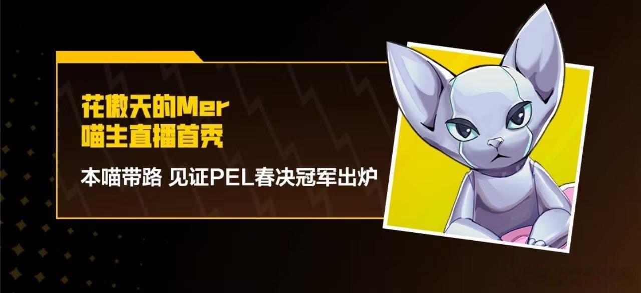 花傲天登陆地球两周年派对2026PEL春季赛总决赛从登陆地球到两周年相伴，这次直
