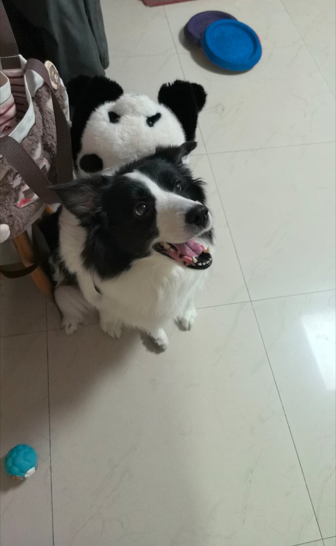 手机重启，最后一次 ​​​