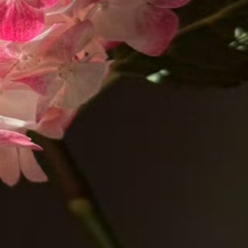 阳光信用[超话][呵呵]阳光信用 [呵呵]每日一善 努力去做一个温暖的人,用真心