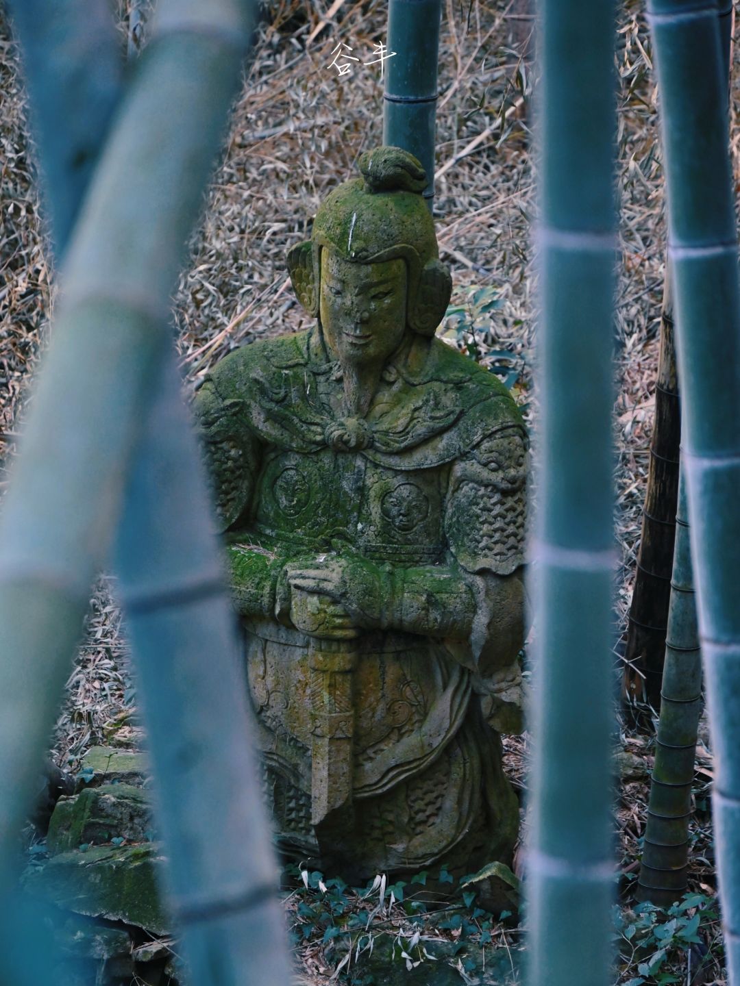 探秘山野|遗落在福泉山的“江南兵马俑”