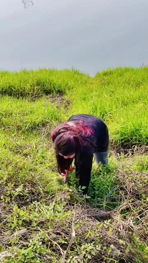 野菜之约，邂逅别样浪漫

女孩被相亲对象约去挖野菜，起初满心疑惑。到了郊外，在暖