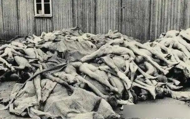 日本战败后，为什么如此嚣张，不就是有美国护着吗，战后没割地赔款，没有向中国人民道