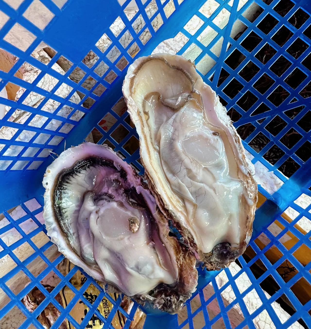 在绍兴夫妻俩的一顿晚饭需要多少钱
今天儿子上学，晚餐就我们2个人

楼下有家快餐