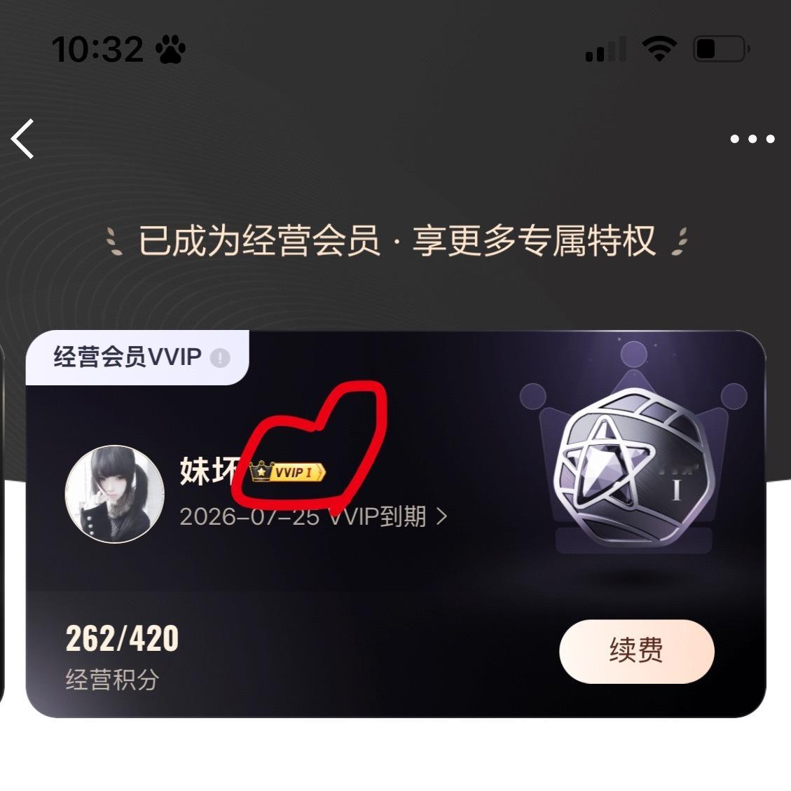 vvip回归 