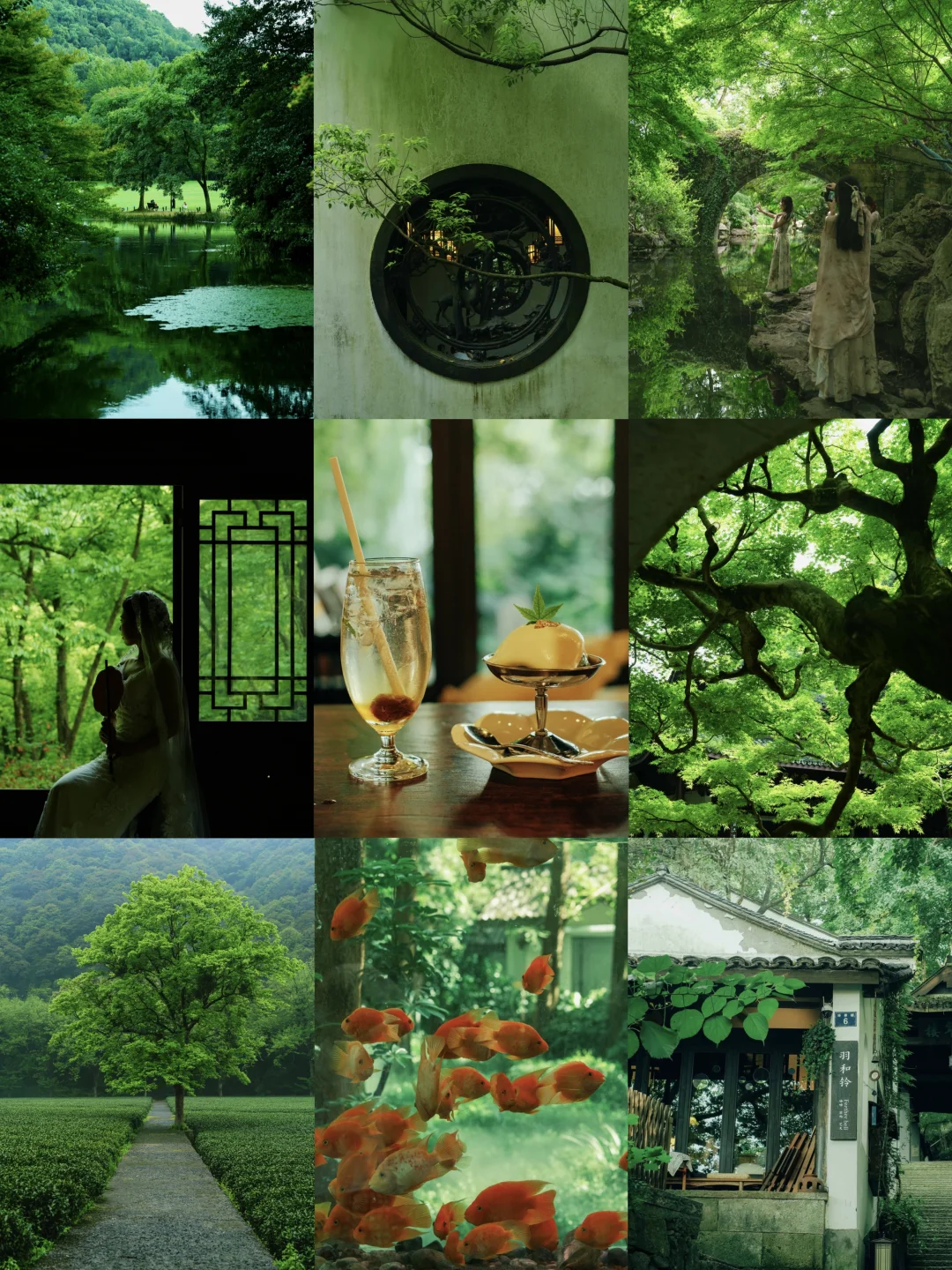 杭州含绿率200%🌳绿色能量场citywalk路线