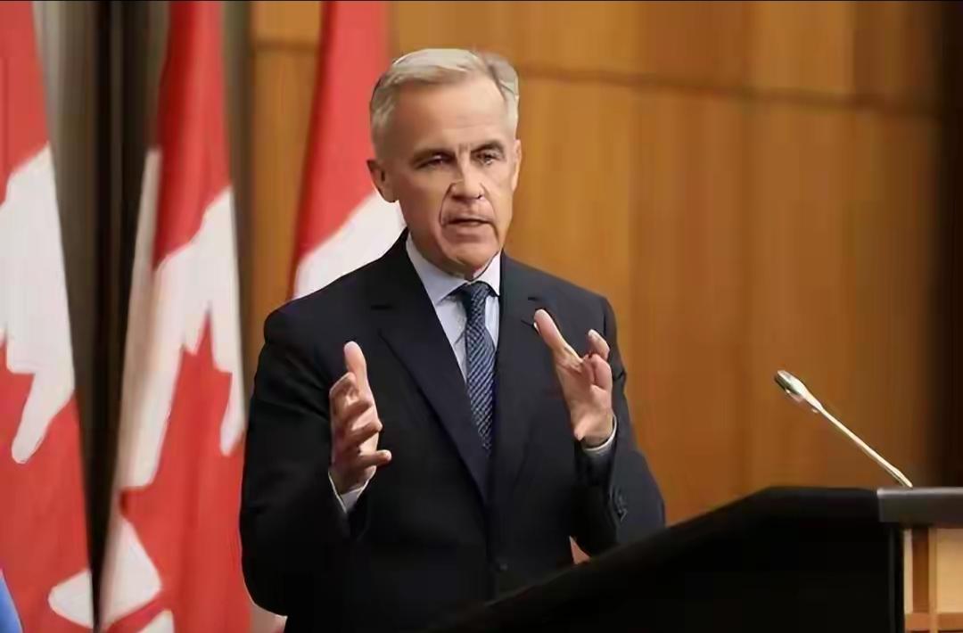 加拿大卡尼总理说了大实话，我们中国确实比美国靠谱的太多了，1月16日，卡尼总理接