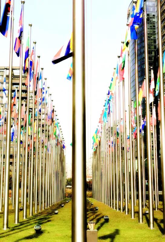 中国能在国际舞台站稳脚跟，靠的是多方面努力。经济上，过去五年年均增速5.4%，对