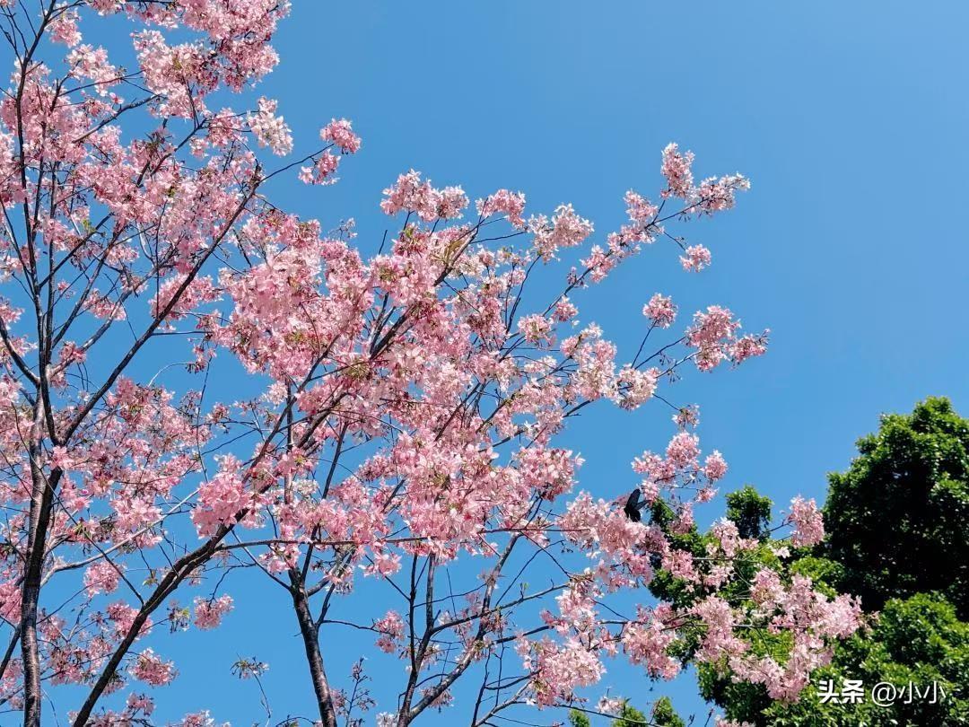 小时候眼里的亲情是暖的、是依靠，长大撞过现实才懂，亲戚之间也分真心和假意。
 