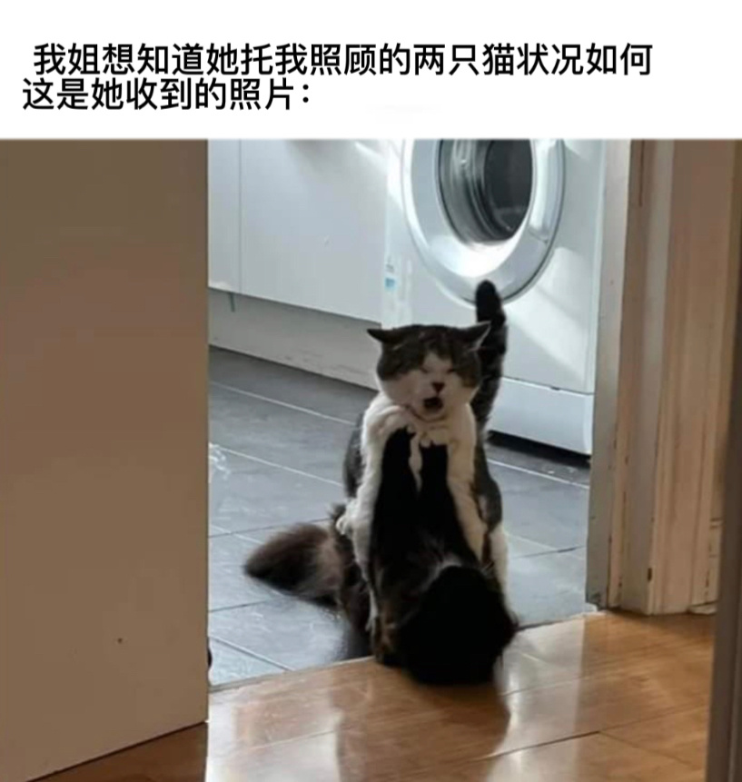 有点棘手#今日memes# //#龙年造梗大赛# ​​​