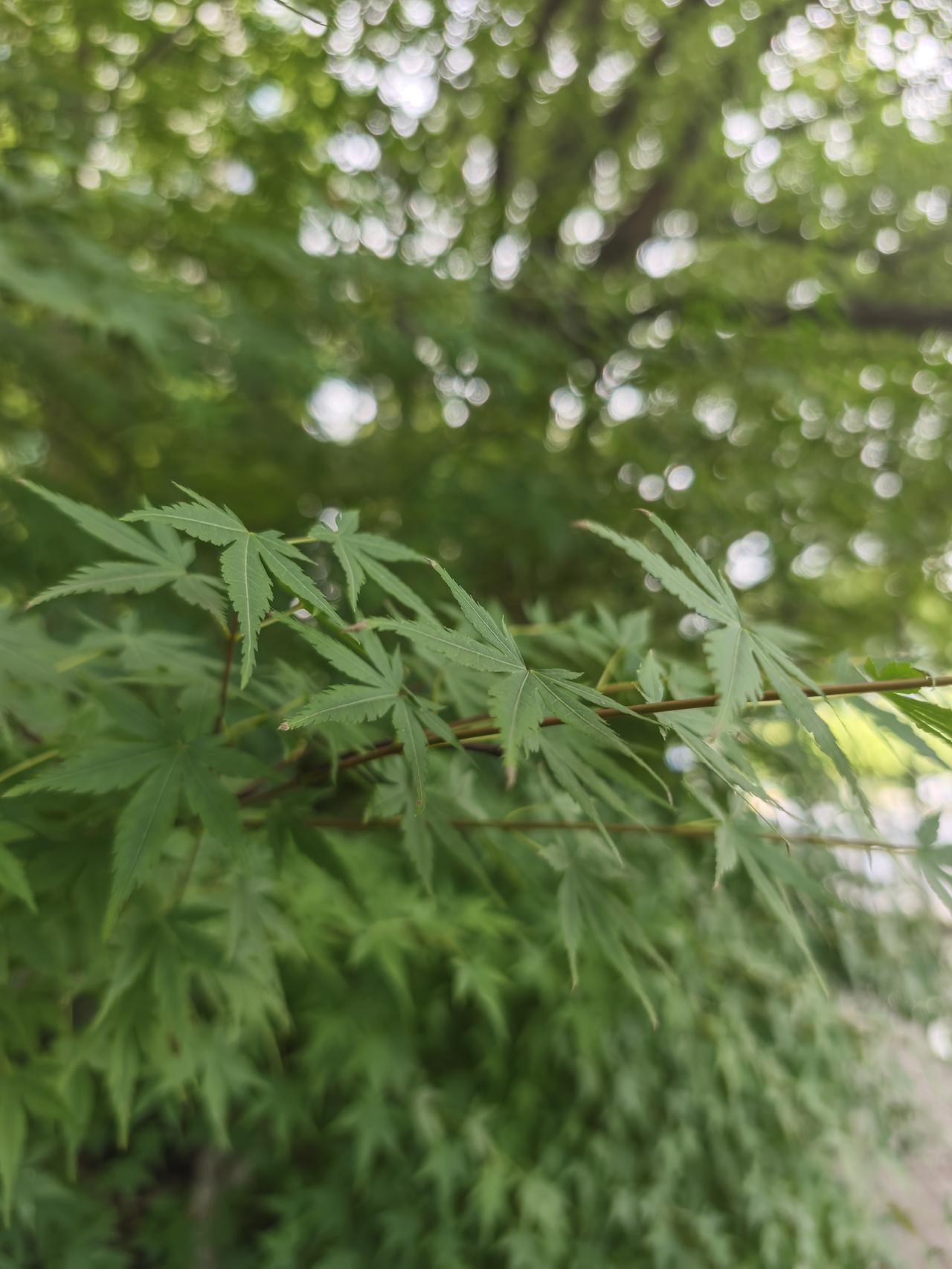氟化工产业链全拆解：萤石是产业根脉，利润微笑曲线向高端集中
 
你提出的核心逻辑
