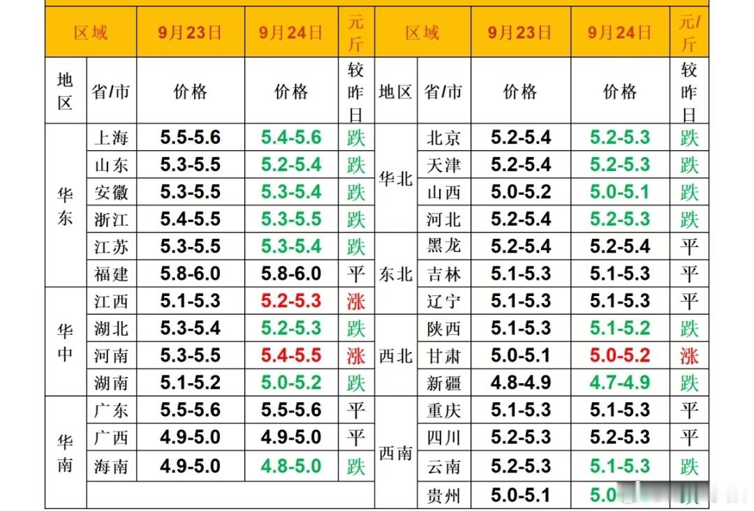 每日猪价 ​​​