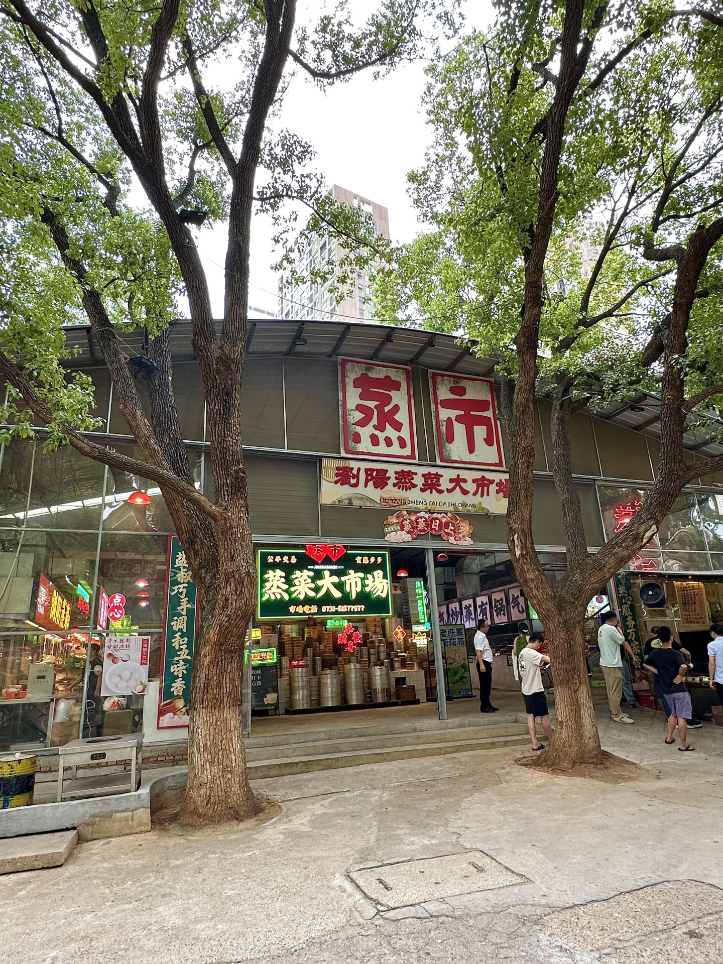 感谢汪涵！！落地长沙第一顿好吃到晕厥😭……