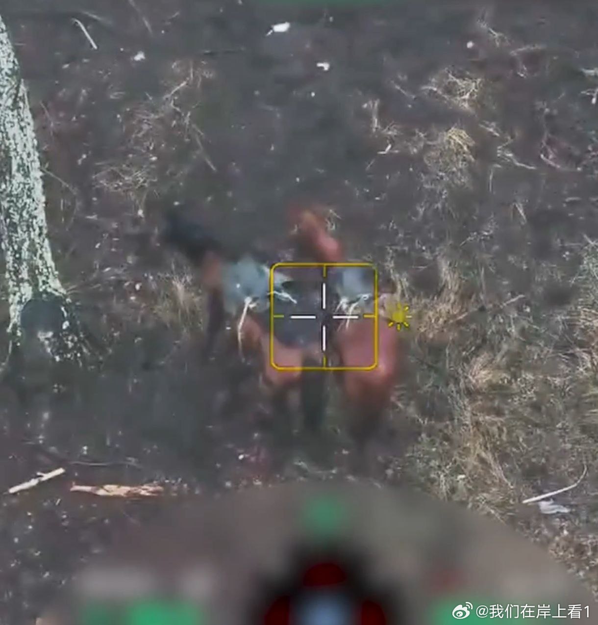 俄罗斯骑兵的马匹成了乌军的战利品。 