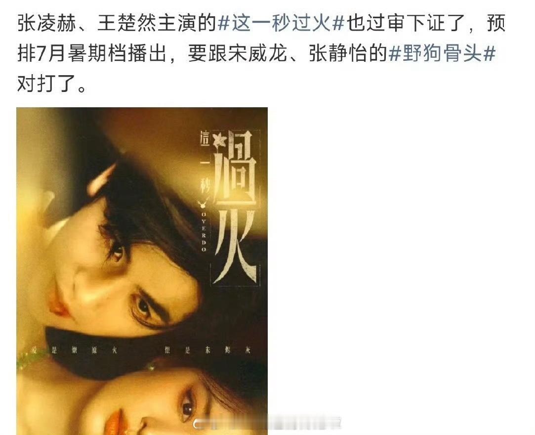 张凌赫、王楚然这一秒过火 和宋威龙、张婧仪的野狗骨头 要对打了95生天选对家这一