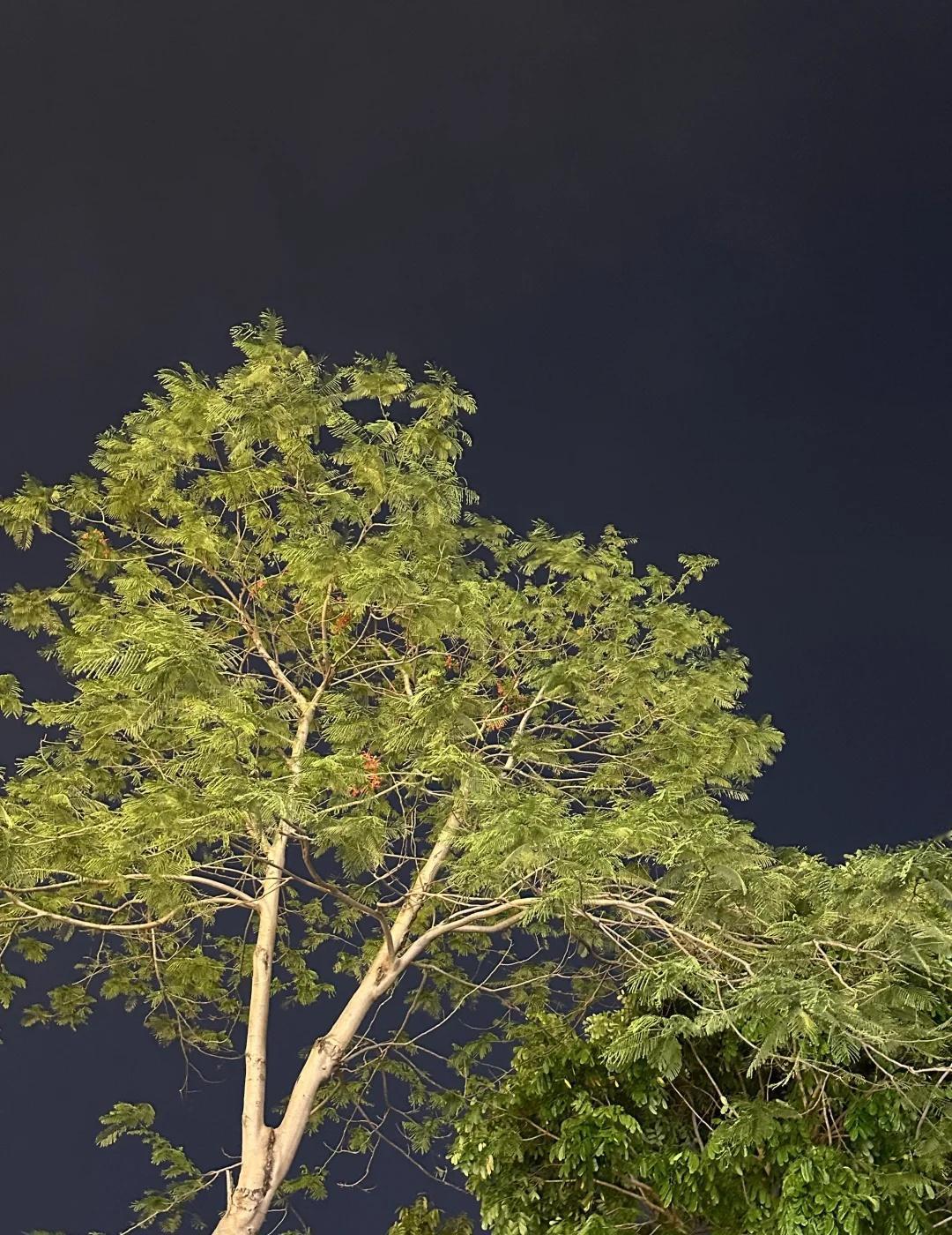 我国环境对烟人还是太友好了
为什么能随地大小吸，并不想一路上被迫吸二手烟