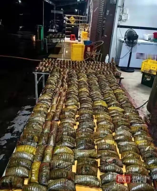 看哭！洪水围困安置点，粽子店老板朋友圈找人包爱心粽，半小时街坊拎围裙赶来，连夜赶