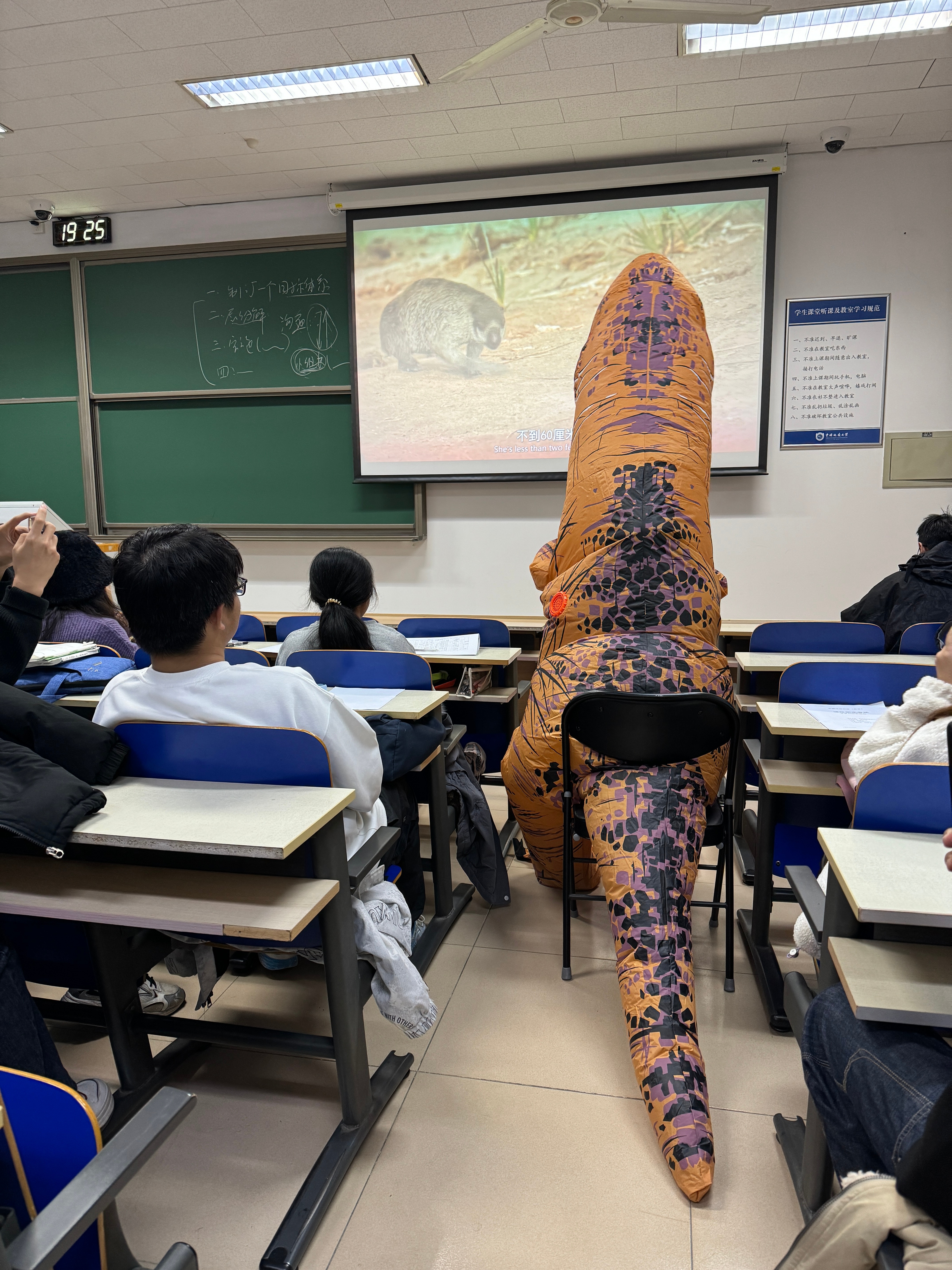 恐龙来上课恐龙吃了我 ​​​