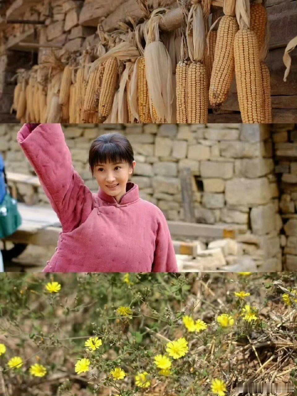 幂姐生万物真的太稳了，这么多天热度持续走高，每天都在破热度记录[老师好][老师好