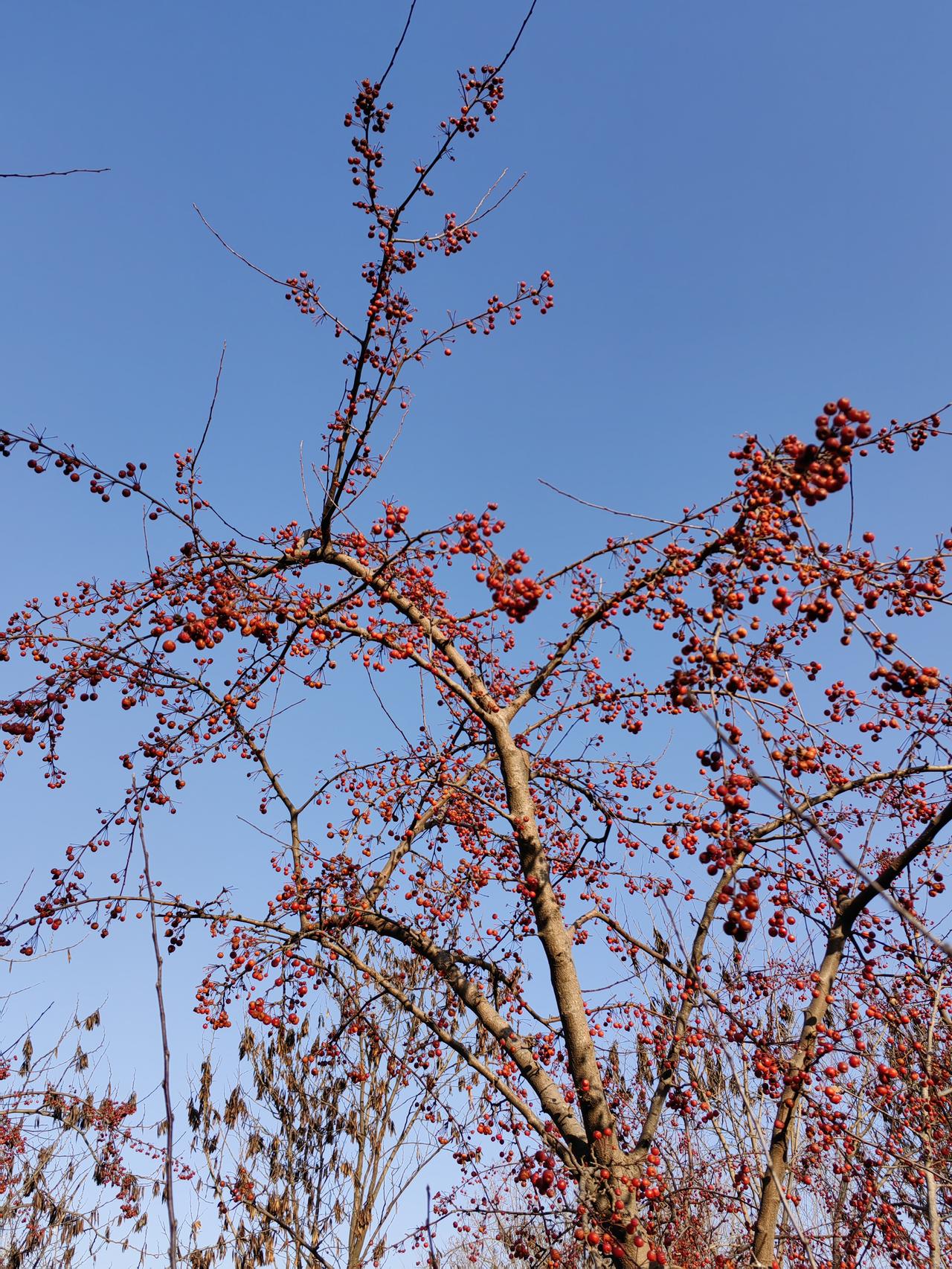 应用LUTI，同样需要对我们的工作进行梳理，有哪些“最好的”，是可以学习的，阐述