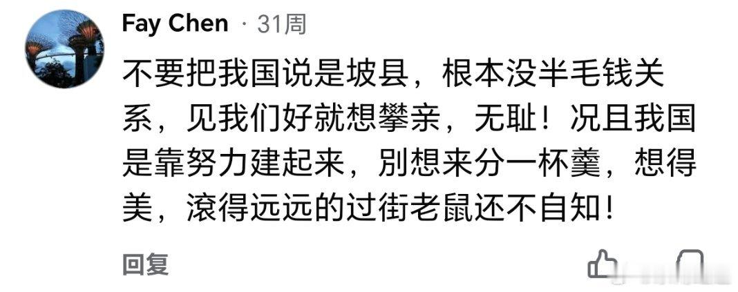 新加坡街头印度人多的吓人好的印加坡…… 