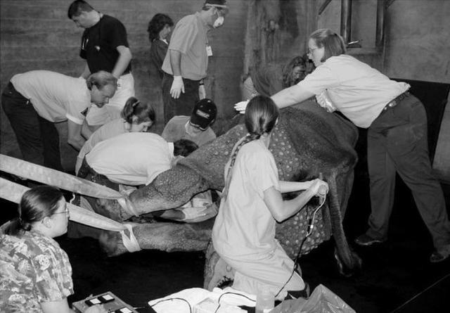 1946年，美军为了一项秘密研究，强迫10多个带有梅毒的女人，和上千名囚犯同处一