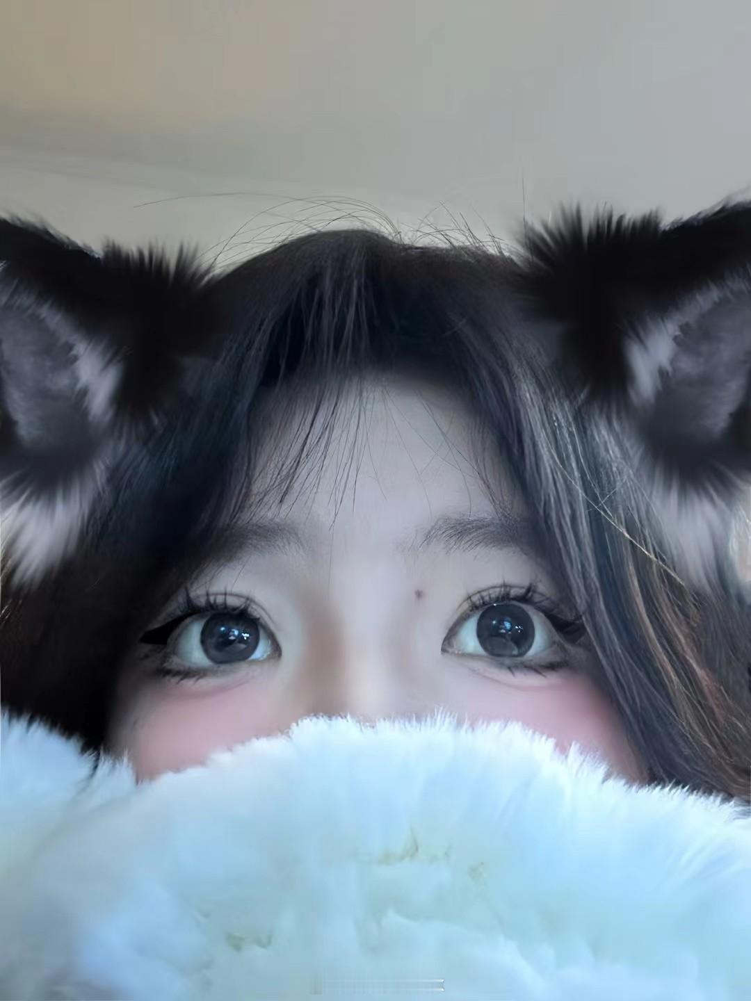 铁粉专属抽奖签名照链接～谢谢大家的陪伴支持运费自理（到付抽奖详情 ） 