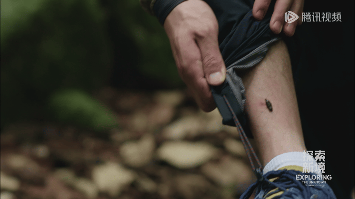 #王一博被蚂蟥连咬三口##王一博裤子全是汗# 我嘞个王一博啊。。 被蚂蟥连咬三口