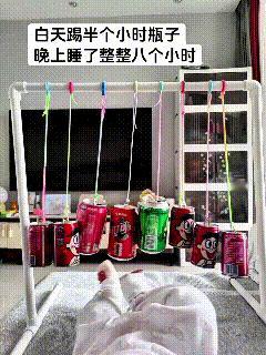 咱东北老爸也太会整活了！废旧易拉罐一绑，简易遛娃神器直接拿捏。小宝宝小脚丫来回踢