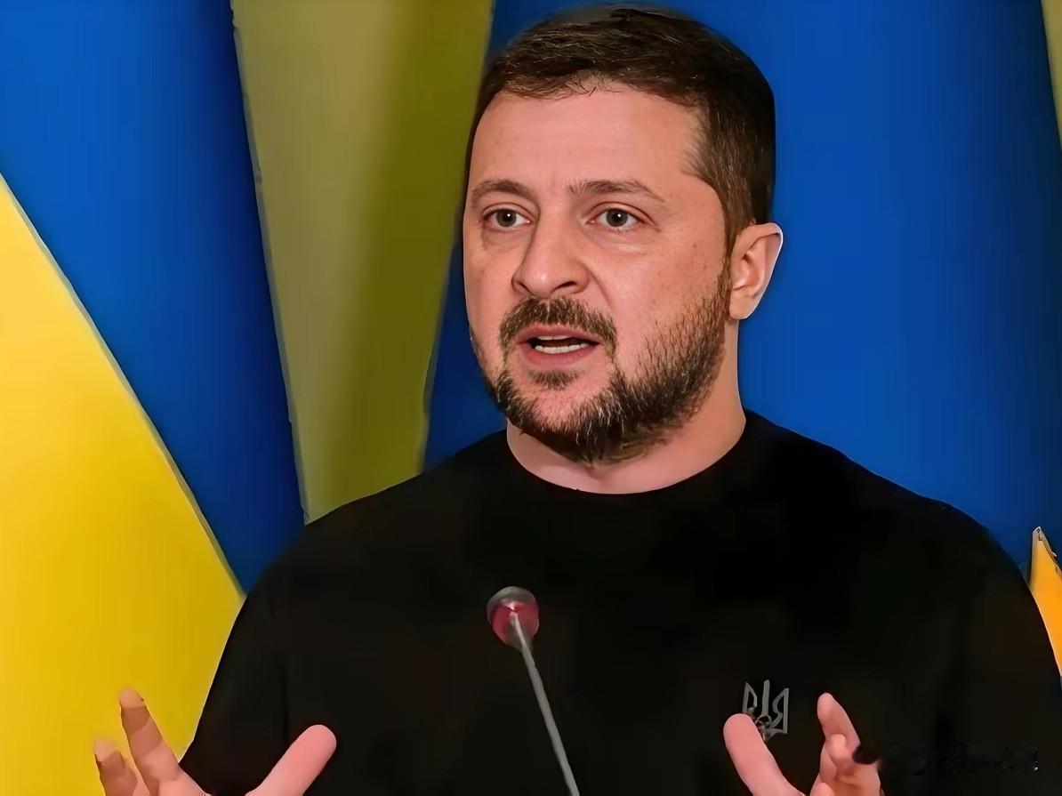 泽连斯基：俄罗斯杀疯了！
乌克兰总统泽连斯基2月3日在平台发声，俄罗斯太疯狂了！