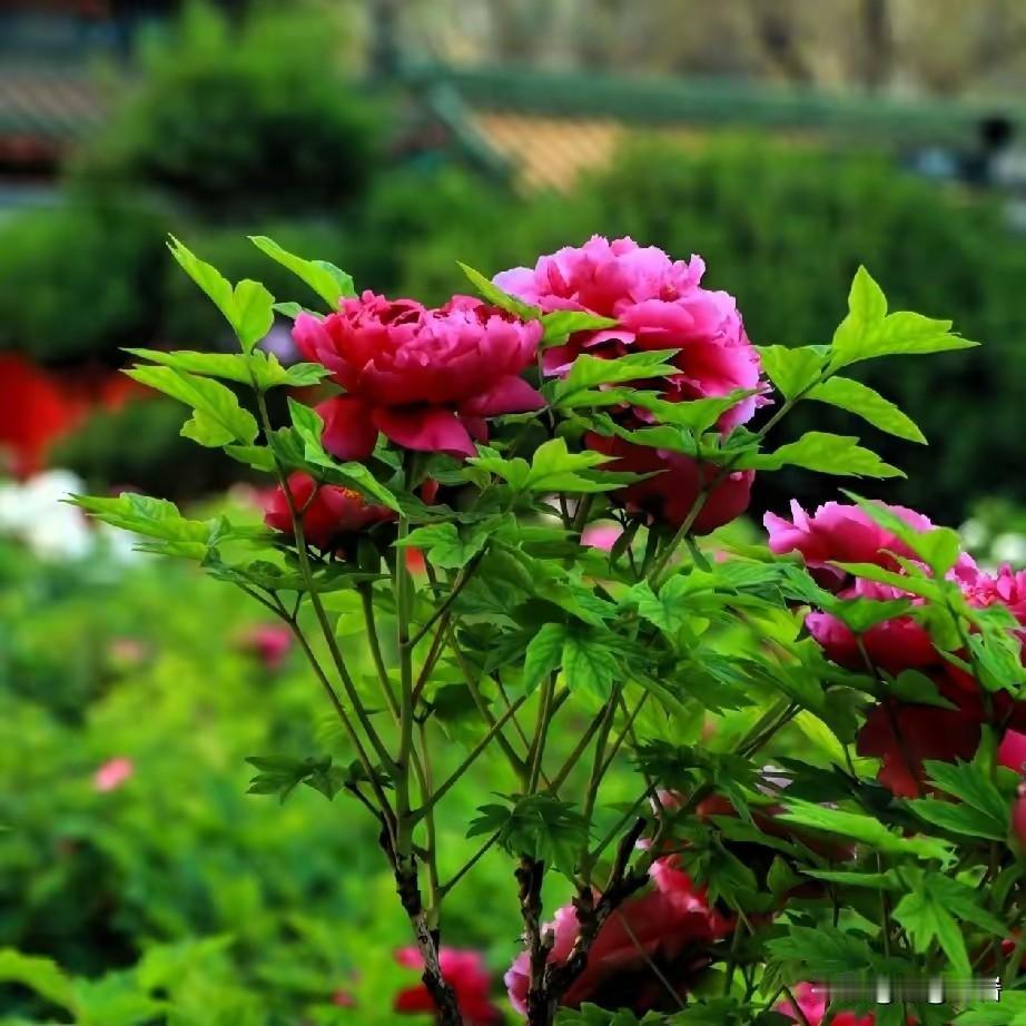 如何应对青春期叛逆的孩子
 
1. 少讲道理，多共情，闭嘴比说教更有用
青春期孩
