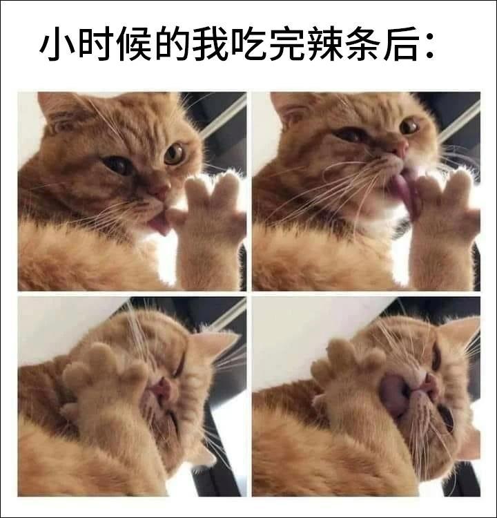 黑历史猫meme /今日memes ​​​