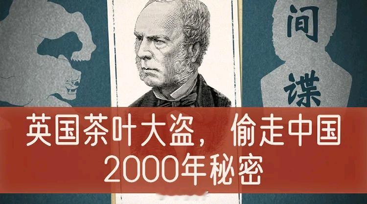 【英国间谍2次偷窃中国茶叶机密】你以为英国人爱喝茶是风雅？错，那是场蓄谋已久的“