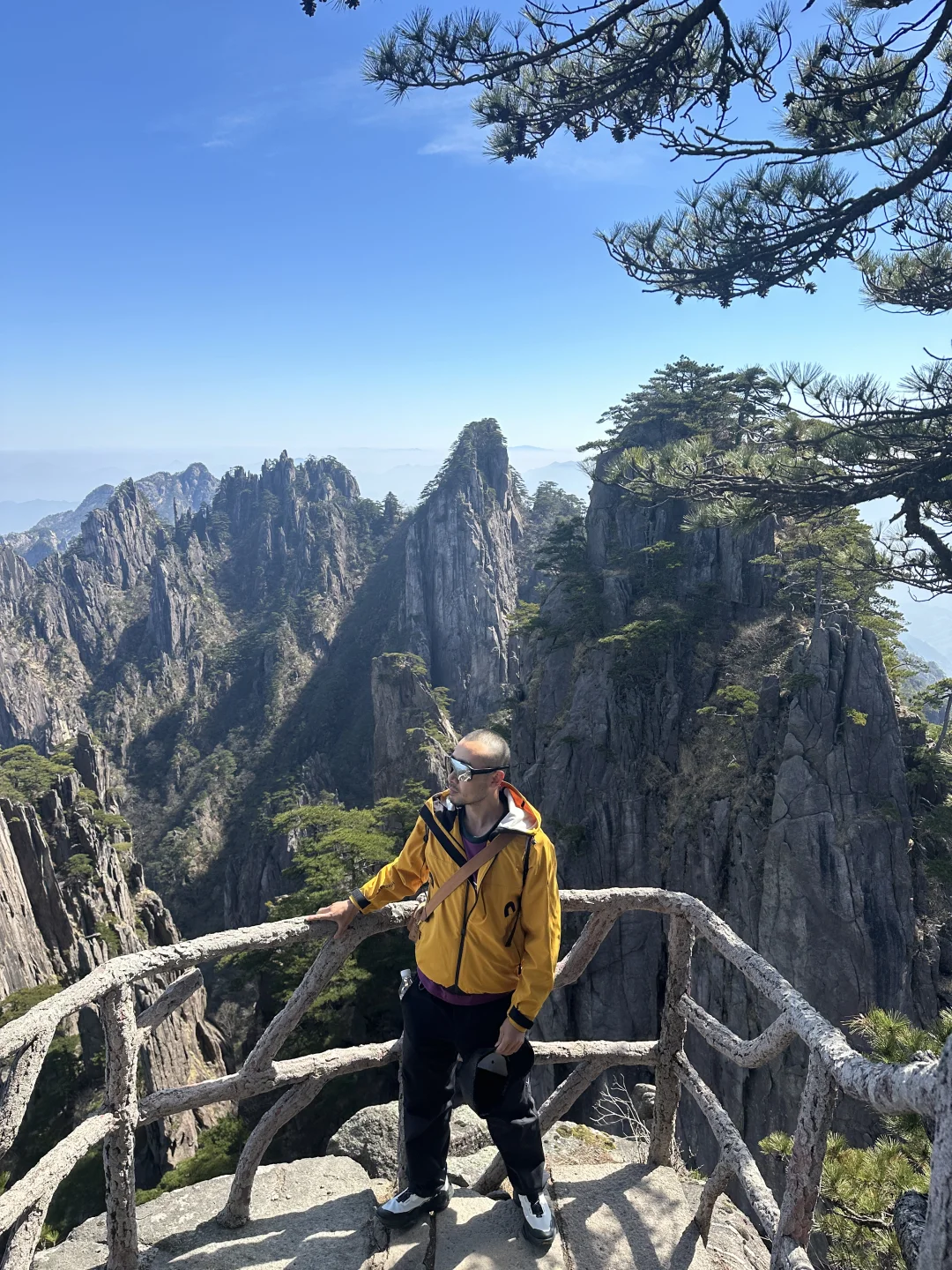 黄山雀食蟀，也雀食废腿