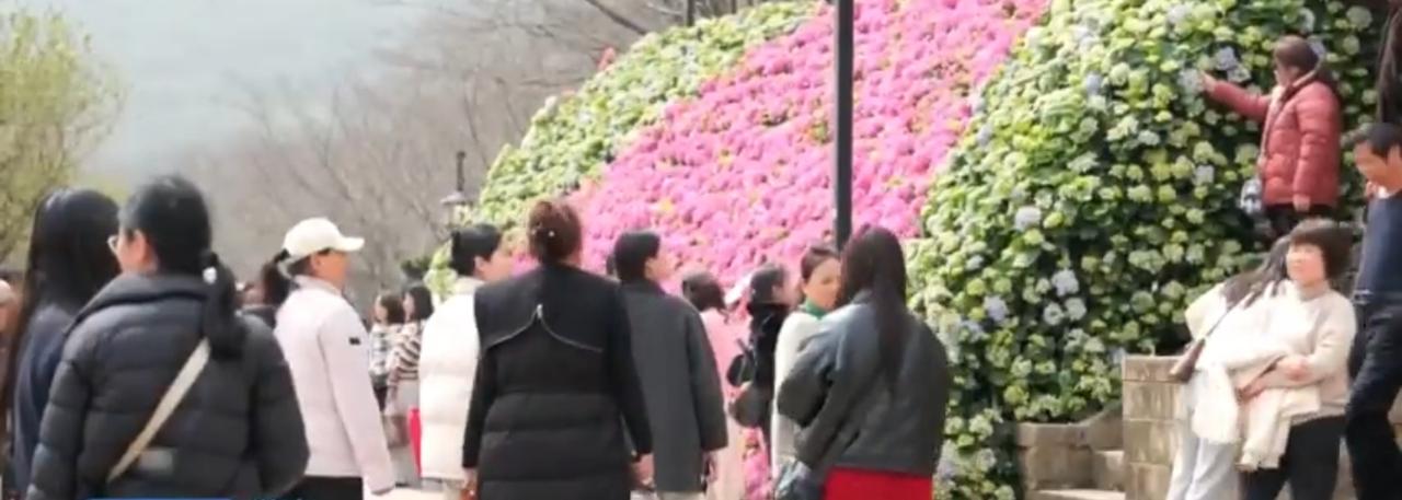 春日繁花竞相绽放，漫山遍野的桃花、杏花如云似霞，粉白交织铺满山野。火车穿行花海间