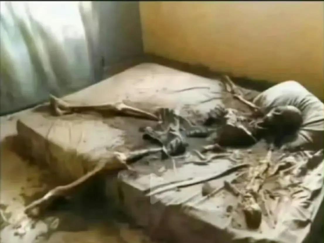 被洗脑的第1代，
谁丁克谁傻，
你猜马斯克为啥要这么多孩子？
他肯定不是大聪明，