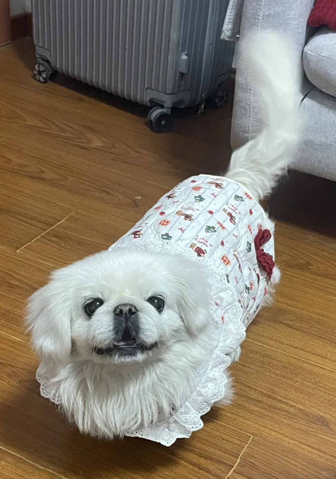 蹲一个近期回国的韩国留子帮带大疆op3!