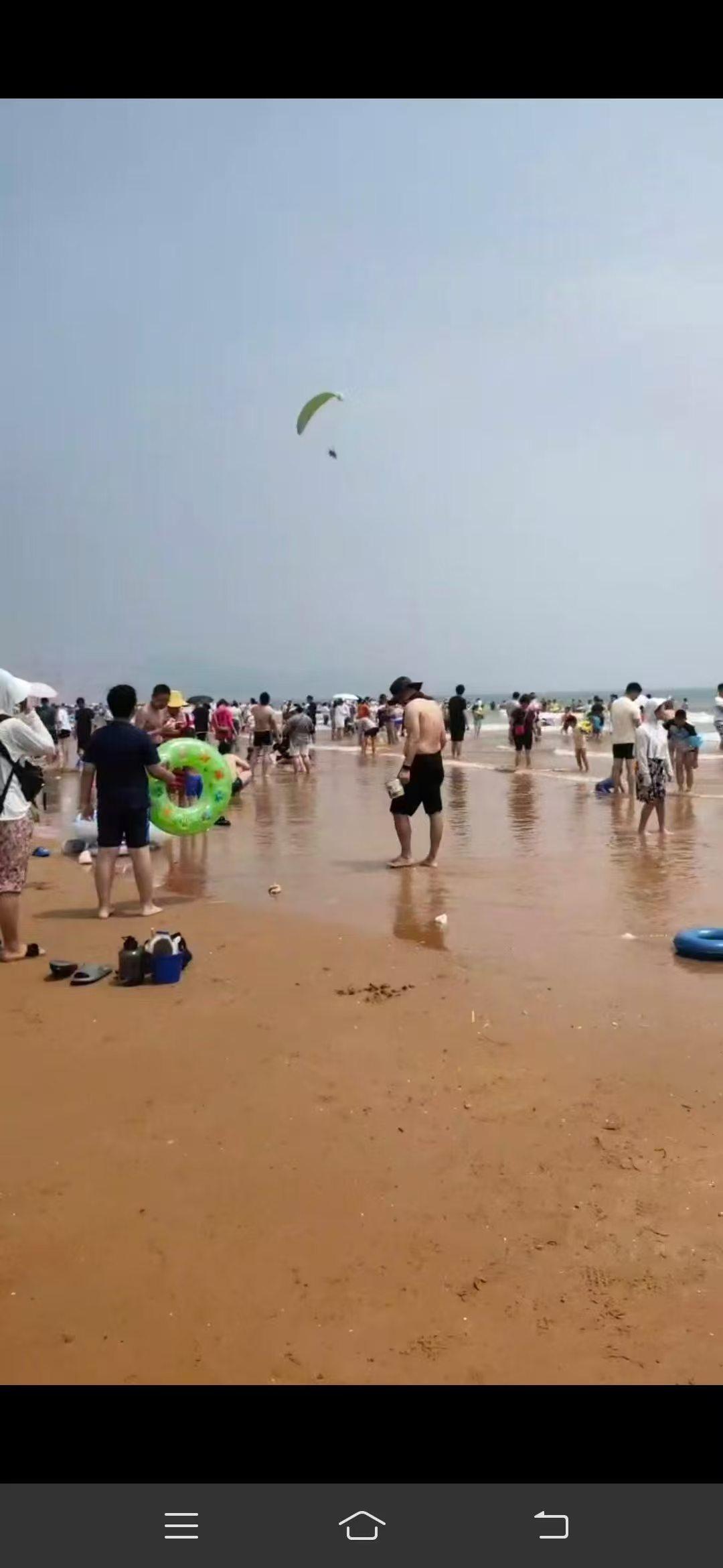 今年志愿报什么专业好会计专业比较好。