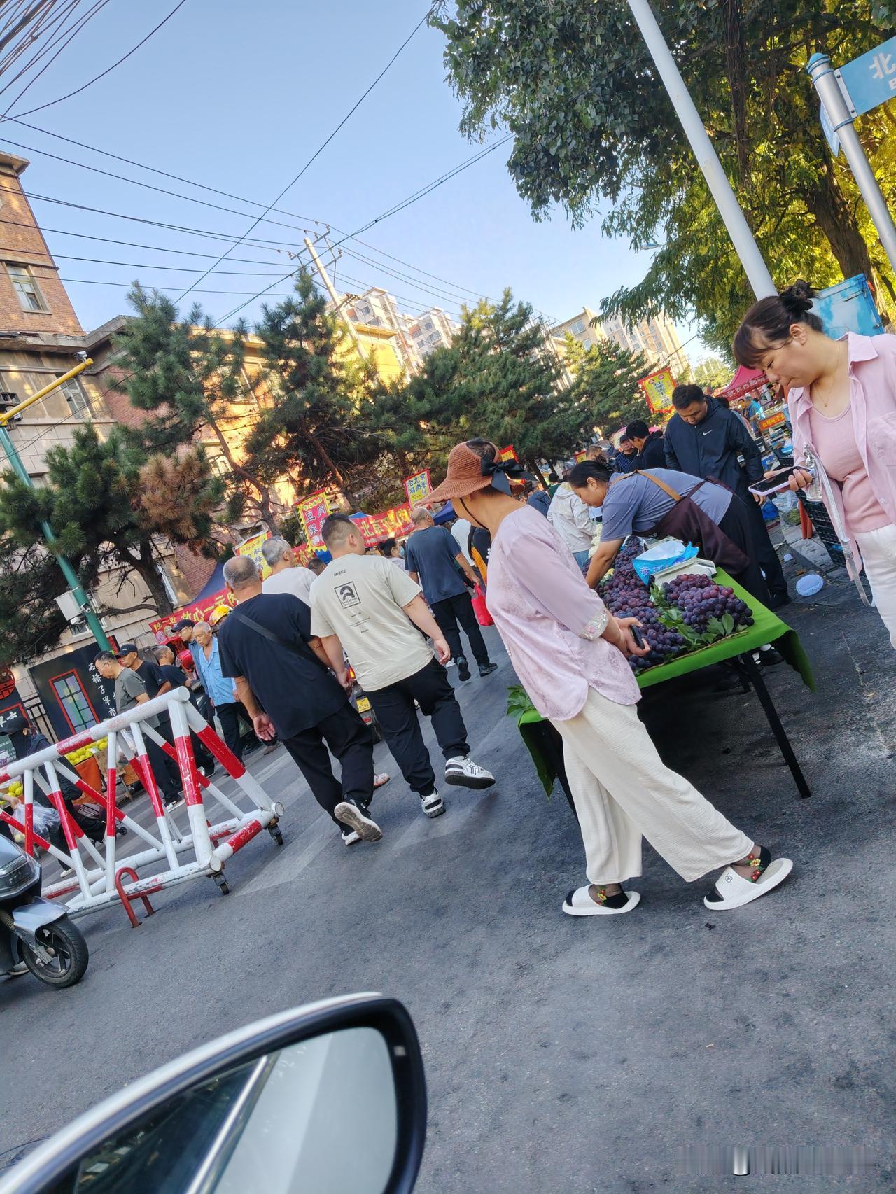 20 分钟来到了号称全国最大的早市锦州市石桥子早市,因为人太多。只能把车停放在附